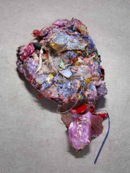 LIZA DIECKWISCH
