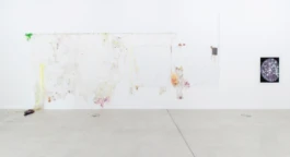 LIZA DIECKWISCH