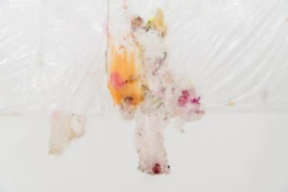 LIZA DIECKWISCH
