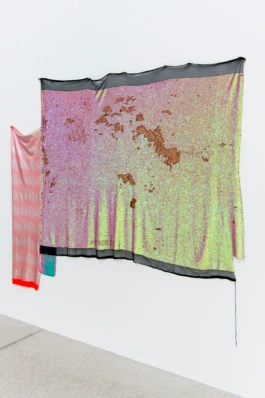 LIZA DIECKWISCH